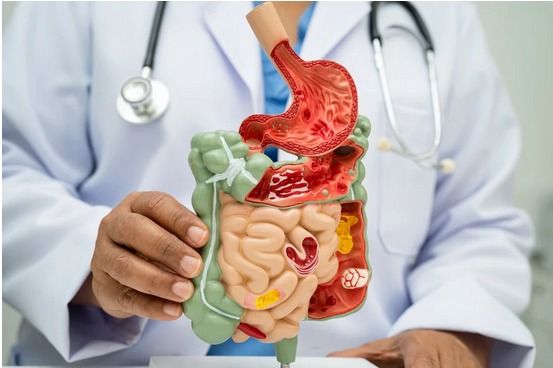 Gastro and Liver Wellness Clinic in Rohini